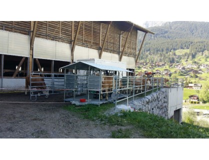 Keturių vietų melžimo aikštelė Šveicarijos ūkininkui